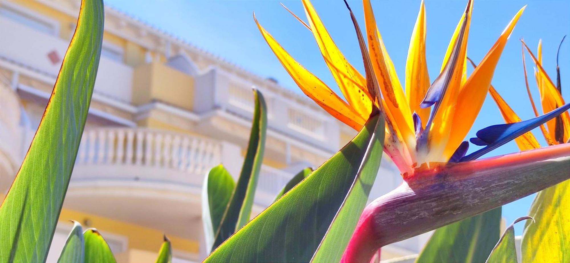 Apartamento Playa Sol By Denia Costa Ngoại thất bức ảnh